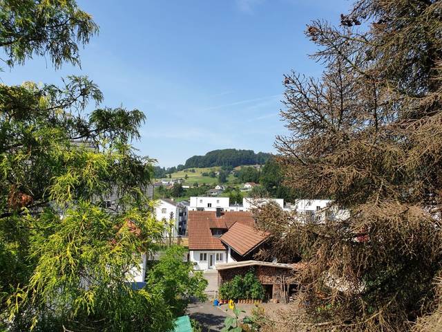 Bijou am Waldrand sucht Handwerker — Bild 1 von 8