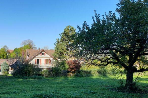 Zweifamilienhaus Gontenschwil — Bild 1 von 1