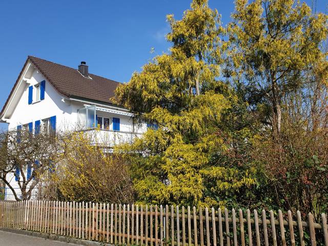 Ideales Kinderparadies mit grossem Garten